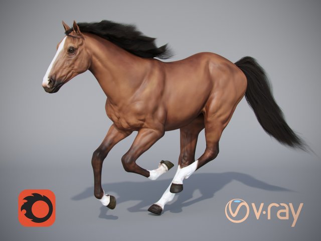 the horse in three positions 3D Модель .c4d .max .obj .3ds .fbx .stl .blend 
