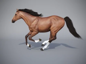 konia w trzech pozycjach Model 3D