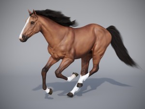 the horse in three positions 3D Модель