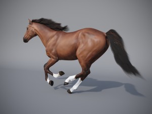 the horse in three positions 3D Модель