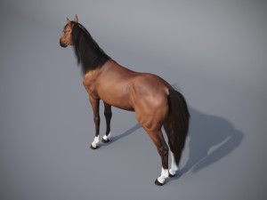 the horse in three positions 3D Модель
