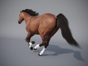 the horse in three positions 3D Модель