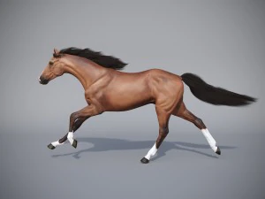 konia w trzech pozycjach Model 3D