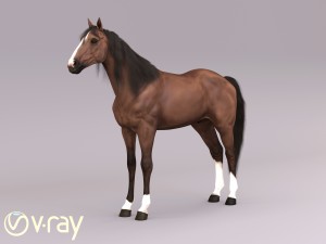the horse in three positions 3D Модель