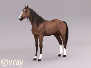 konia w trzech pozycjach Model 3D
