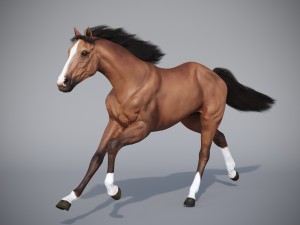 the horse in three positions 3D Модель