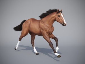 the horse in three positions 3D Модель