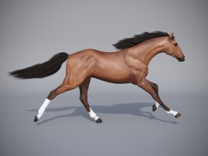the horse in three positions 3D Модель