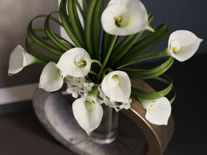 decor set calla 3D Model