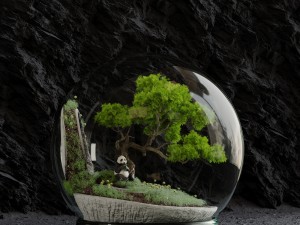 florarium bonsai 3D Модель