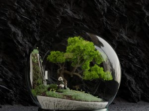 florarium bonsai 3D Model