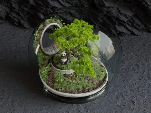 florarium bonsai 3D Model