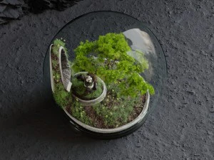 florarium bonsai 3D Model