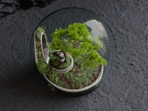 florarium bonsai 3D Модель