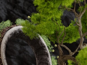 florarium bonsai 3D Модель