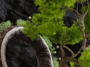 florarium bonsai 3D Model