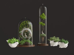 florarium 3D 모델