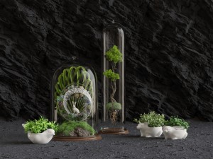 florarium 3D 모델