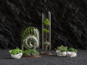 florarium 3D Model
