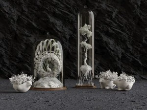 florarium 3D Model