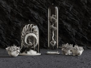 florarium 3D 모델
