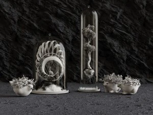 florarium 3D Model