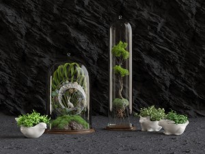 florarium 3D 모델