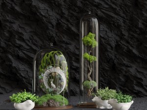 florarium 3D 모델