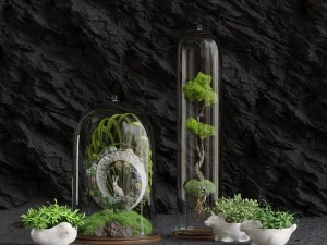 florarium 3D Model