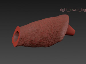 the monkey lamp hanging right version low and high poly vr - ar - low-poly Modelo 3D