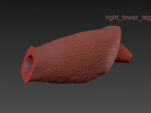 la lampe singe suspendue &agrave; droite version low et high poly vr - ar - low-poly Modèle 3D