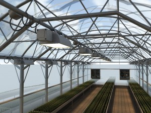 greenhouse solar Modelo 3D