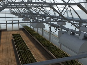 greenhouse solar Modelo 3D