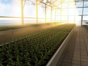 greenhouse solar 3D Model