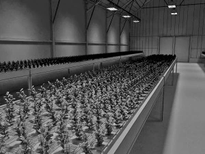 greenhouse solar 3D Model