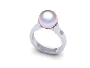 sebagai perl 1 Model 3D