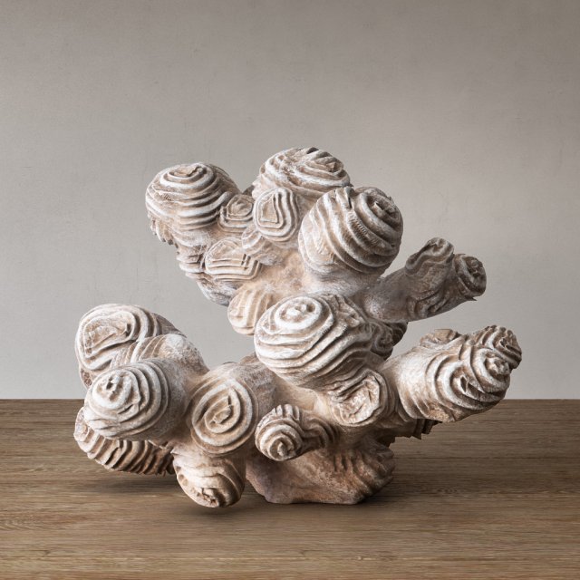author sculpture coral 3D Model .c4d .max .obj .3ds .fbx .stl .blend 