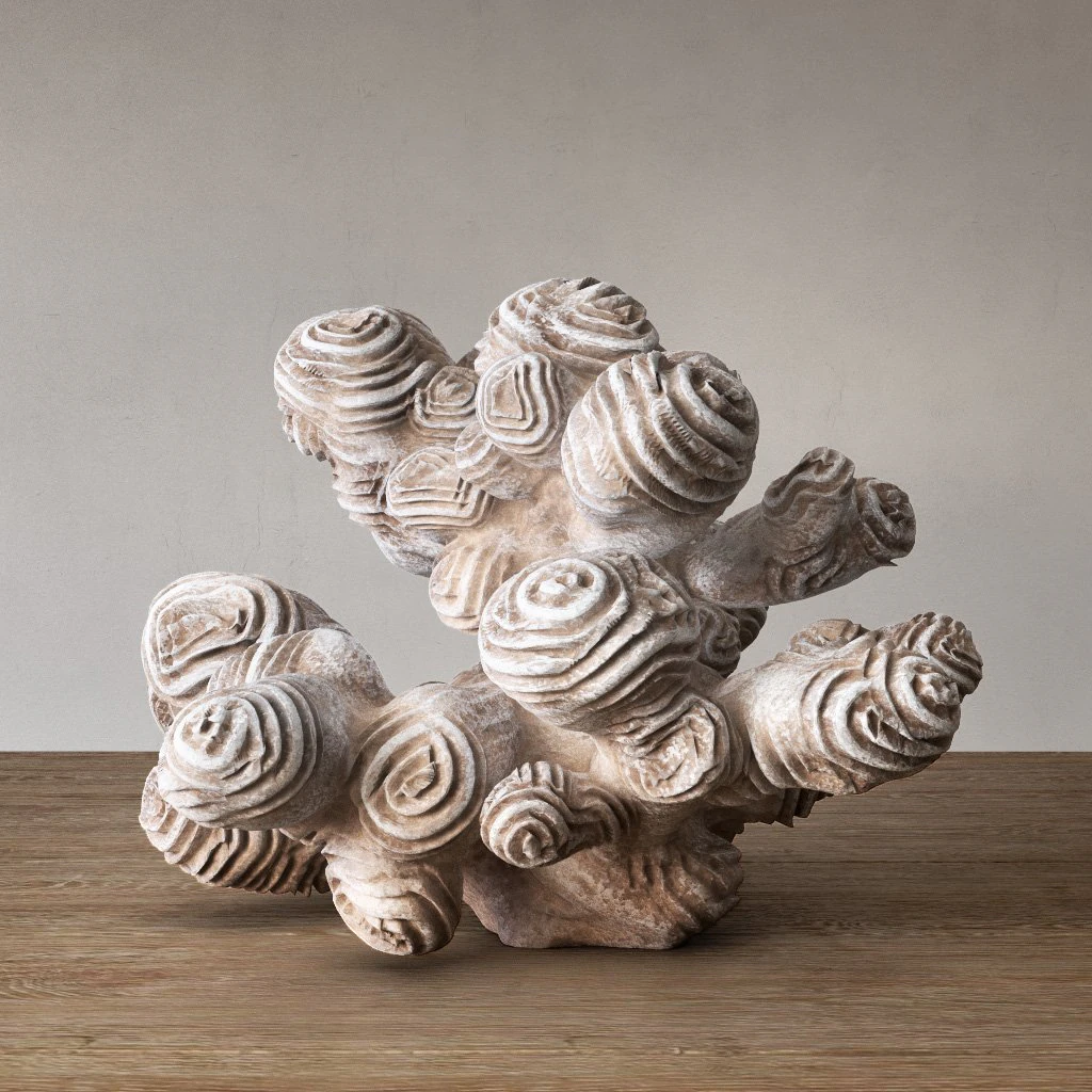author sculpture coral 3D Model .c4d .max .obj .3ds .fbx .stl .blend