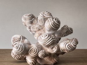 author sculpture coral 3D Model