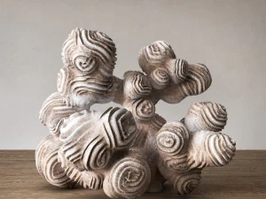 author sculpture coral 3D Model
