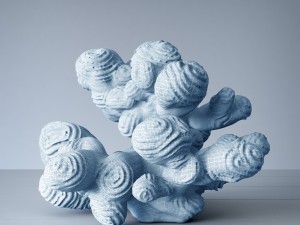 author sculpture coral 3D Model
