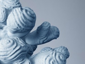 author sculpture coral 3D Model