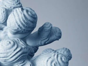 author sculpture coral 3D Model