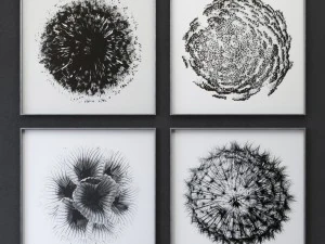 植物标本采集 3D 模型