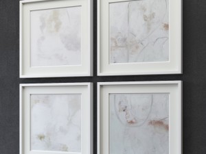 layers of translucency collection 3D Model