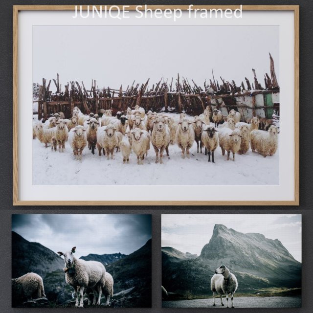 juniqe sheep framed 3D Модель .c4d .max .obj .3ds .fbx .stl .blend 