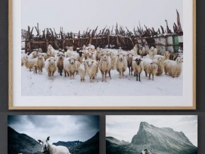 juniqe owiec w ramce Model 3D