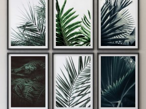 tropical set-01 framed 3D Model