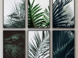 tropical set-01 framed 3D Model