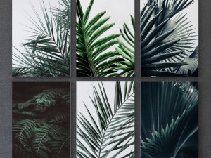 tropical set-01 framed 3D Model
